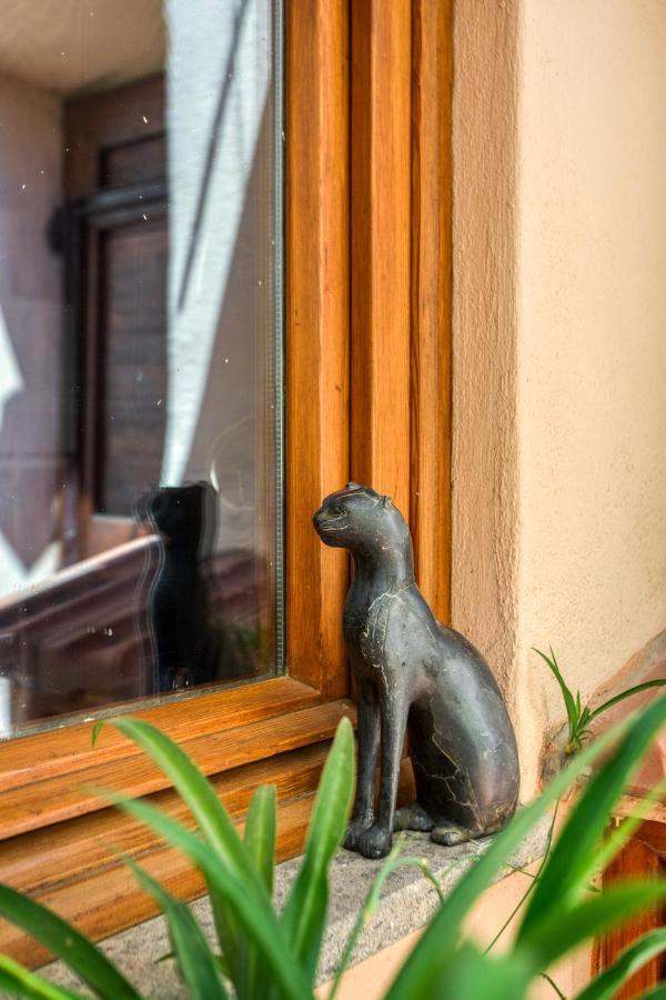 Maggiore 145 Apartment With Private Garden - Rione Monti Rome Extérieur photo
